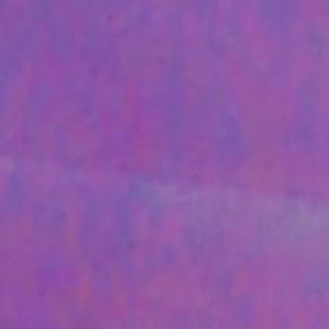 Meet your Posher, Jada